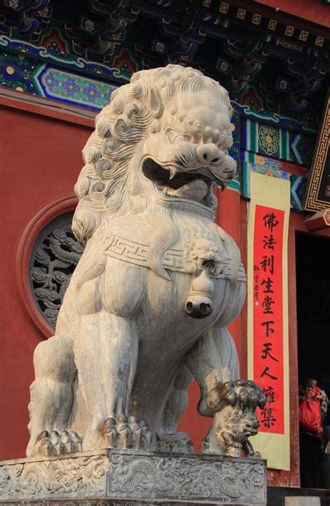 中國人種起源 石獅子可以摸嗎